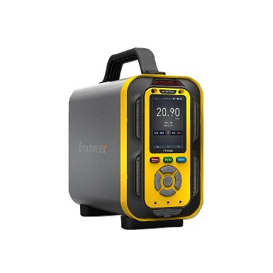 手提式氩气分析仪 PTM600-Ar
